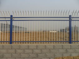 河北護(hù)欄網(wǎng)廠家 專業(yè)制造，鑄就優(yōu)質(zhì)安全屏障